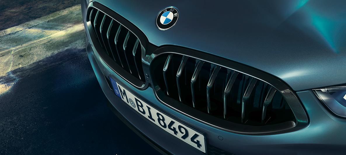 BMW M850i xDrive First Edition, BMW maska chladiče ve tvaru ledvinek Detail na ledviny masky chladiče BMW M850i xDrive First Edition